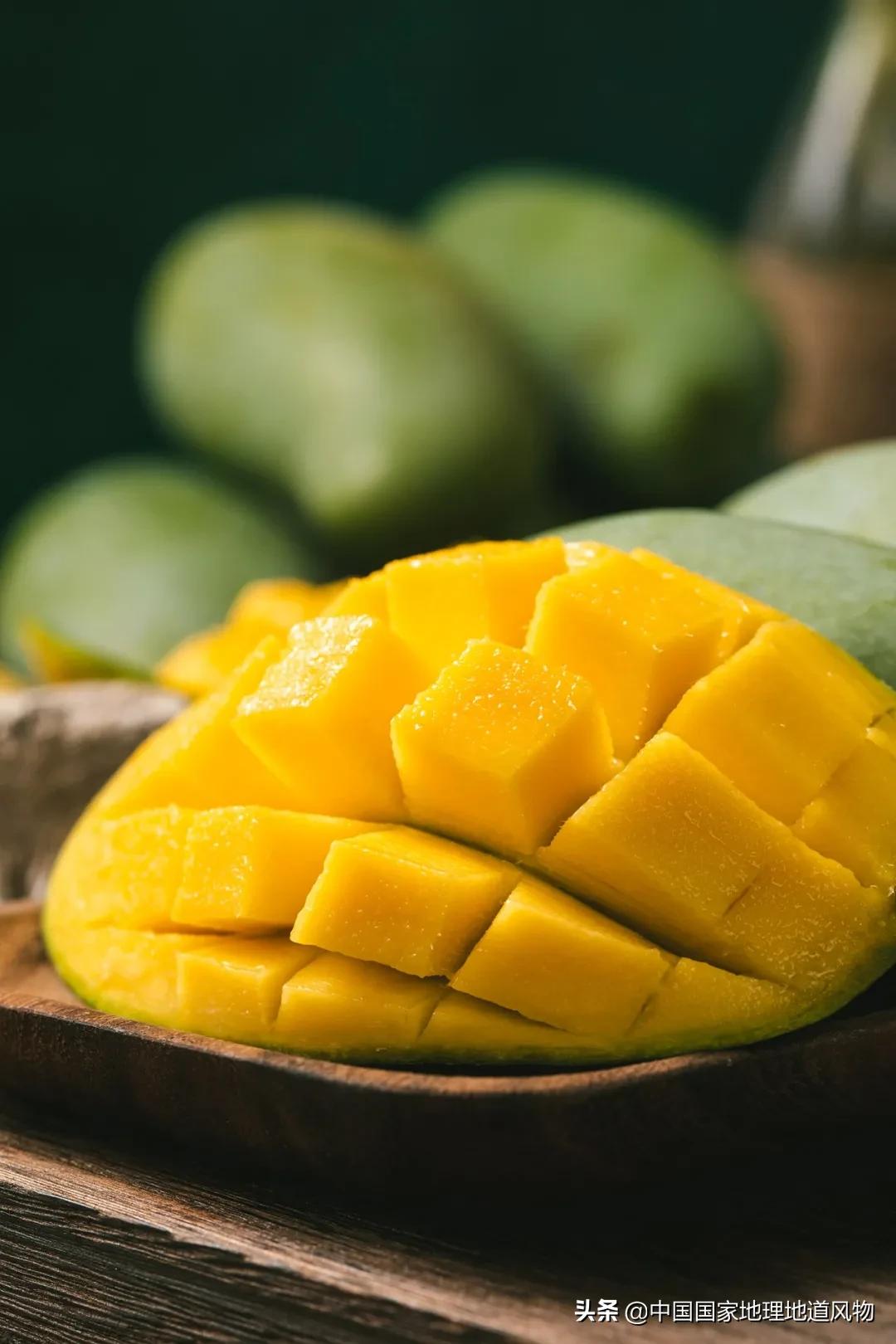 广西水果产量连续五年全国第一,广西和陕西谁才是水果第一大省