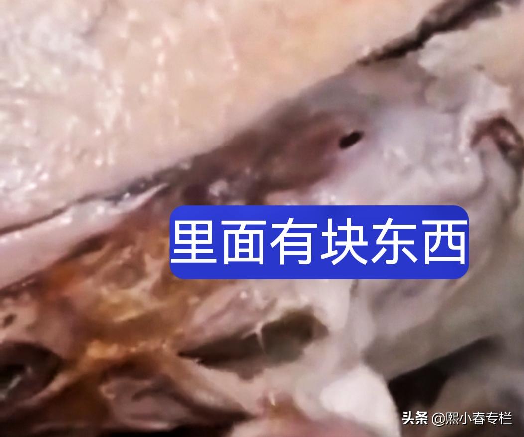 女子买鹅回家发现是鸭子,女子回家买了个鹅