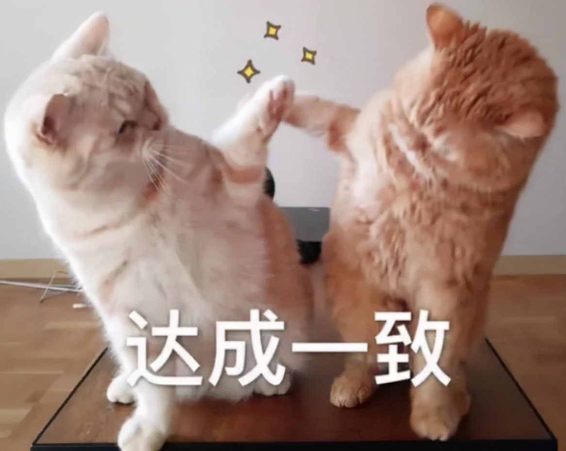 影视剧翻拍的各个版本对比,翻拍电视剧是成功还是翻车