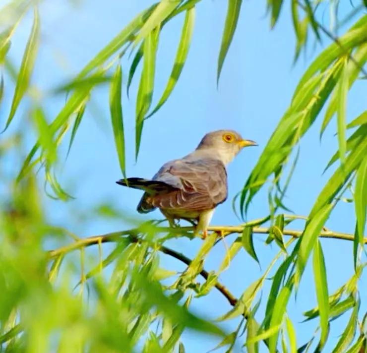 上海国际汽车城安亭,上海市嘉定区安亭国际汽车城