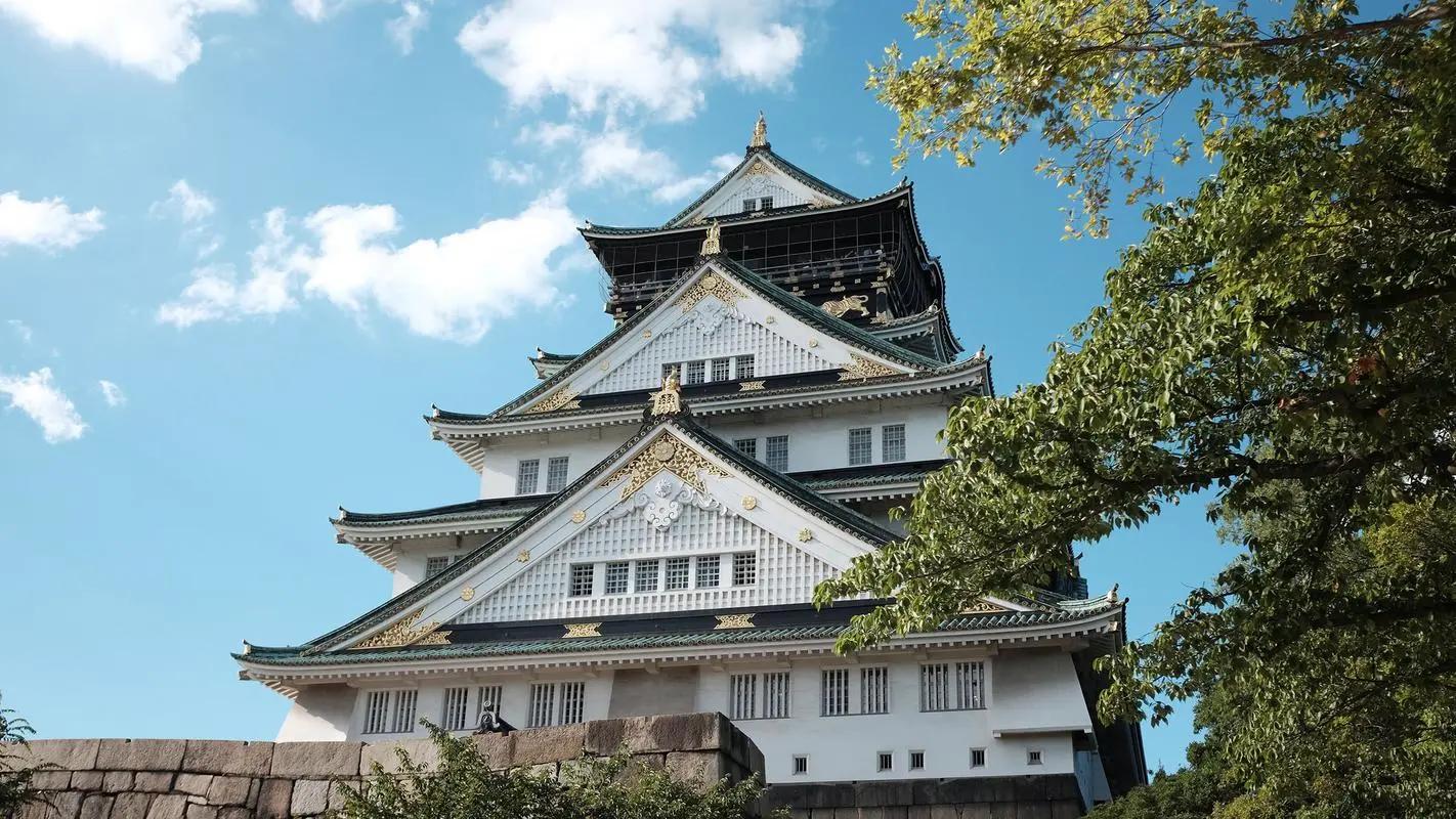 日本的幕府政治制度模式,日本幕府统治危机原因