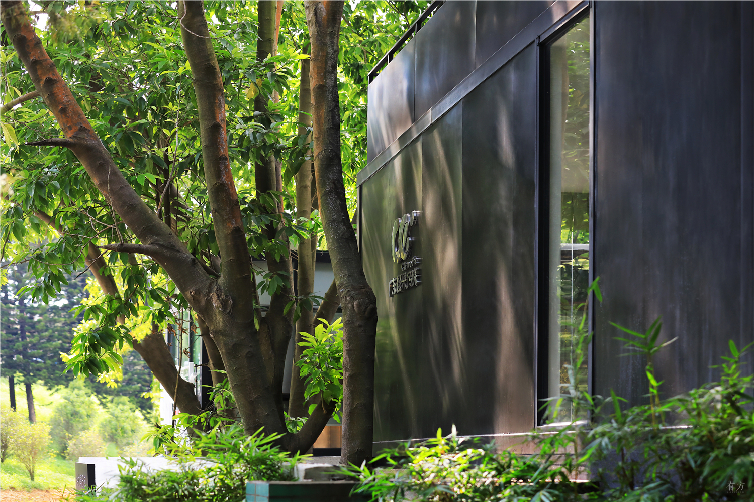 集装箱内的天地：东莞橙果传媒办公室/间外建筑工作室