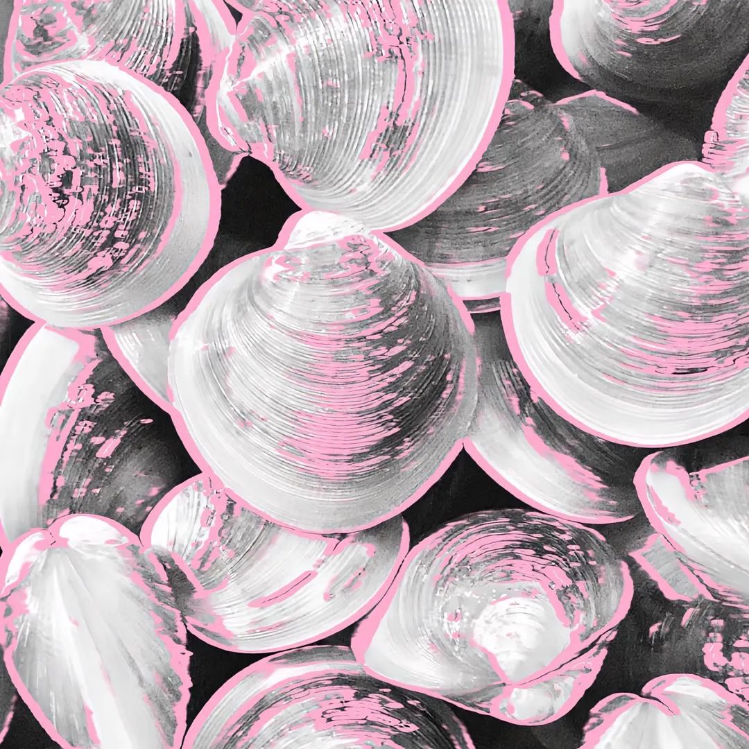 高级小众背景图片图集,小众背景图治愈丧