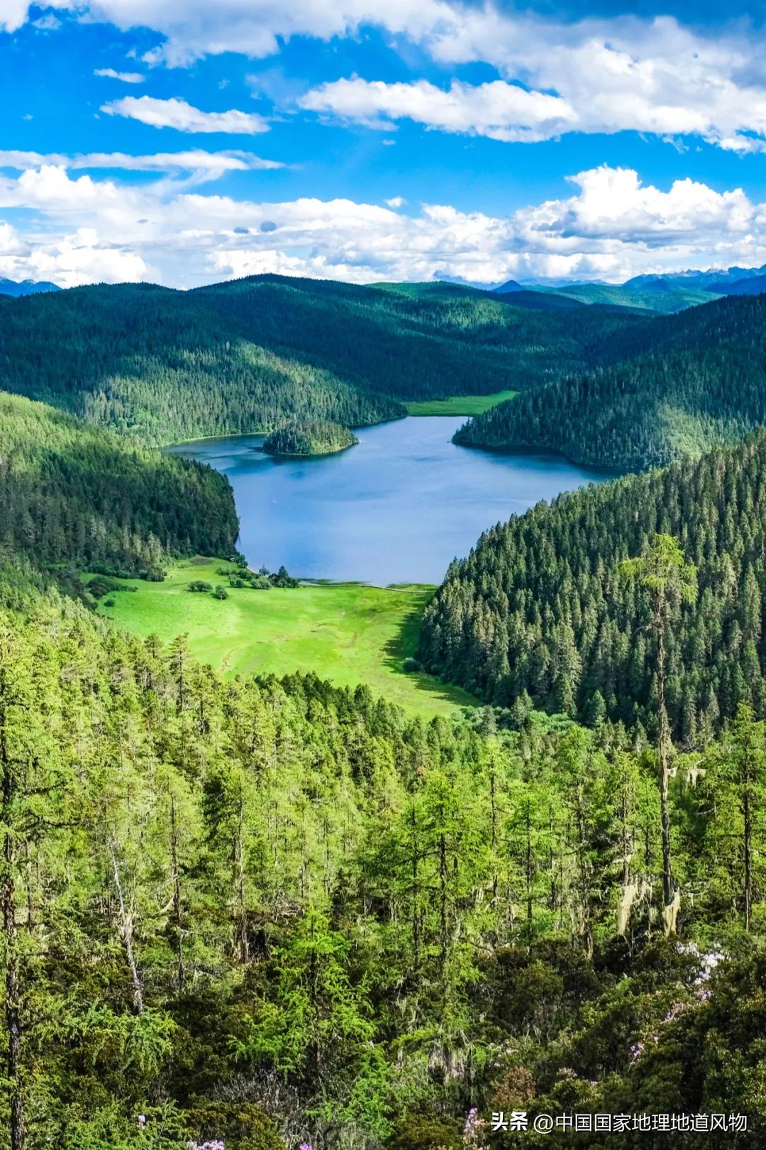 我国哪里盛产火龙果,全国最大的火龙果基地是哪里