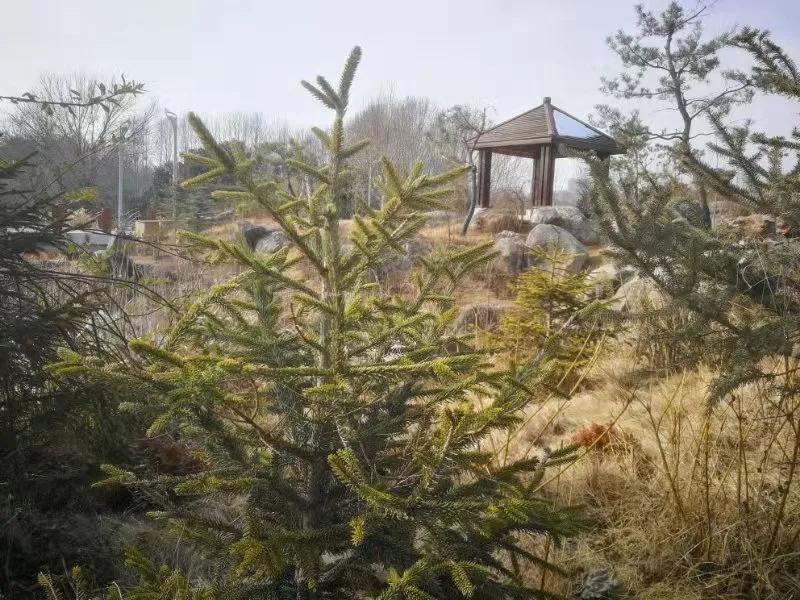 用心发现生活中的美景,用心发现美生活中处处是风景