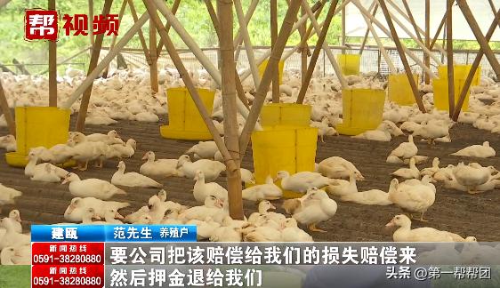 养殖户停养承诺,养殖场被关停赔偿只字未提