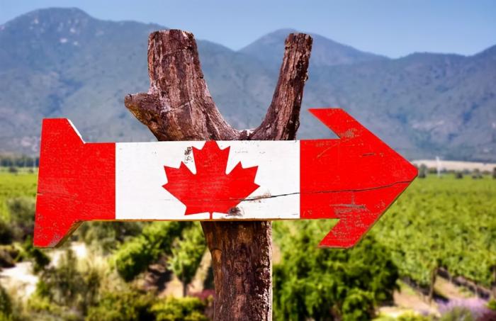 被身边的人忽悠感受,被忽悠了什么感觉