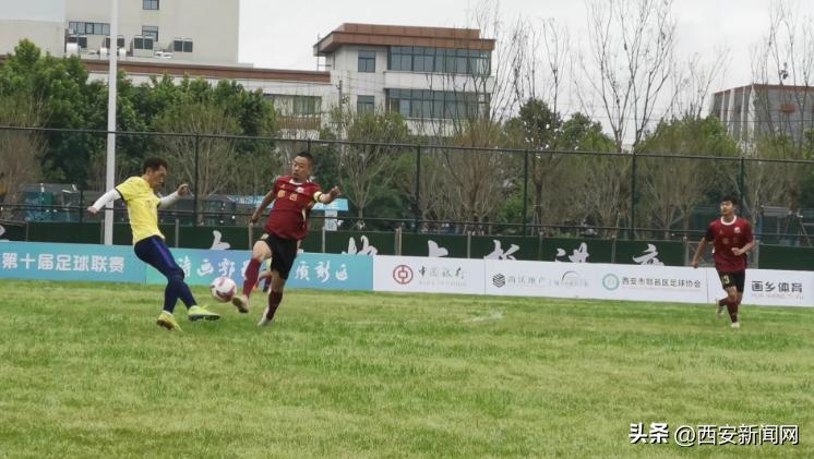 央视主持人助力西安,央视点赞杨凌