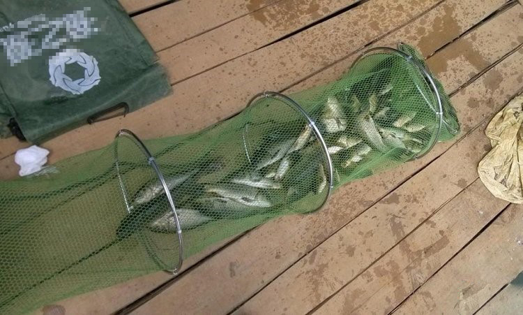 阴天窝里有鱼不开口还起伏怎么办,窝里有鱼不咬钩怎么回事呢