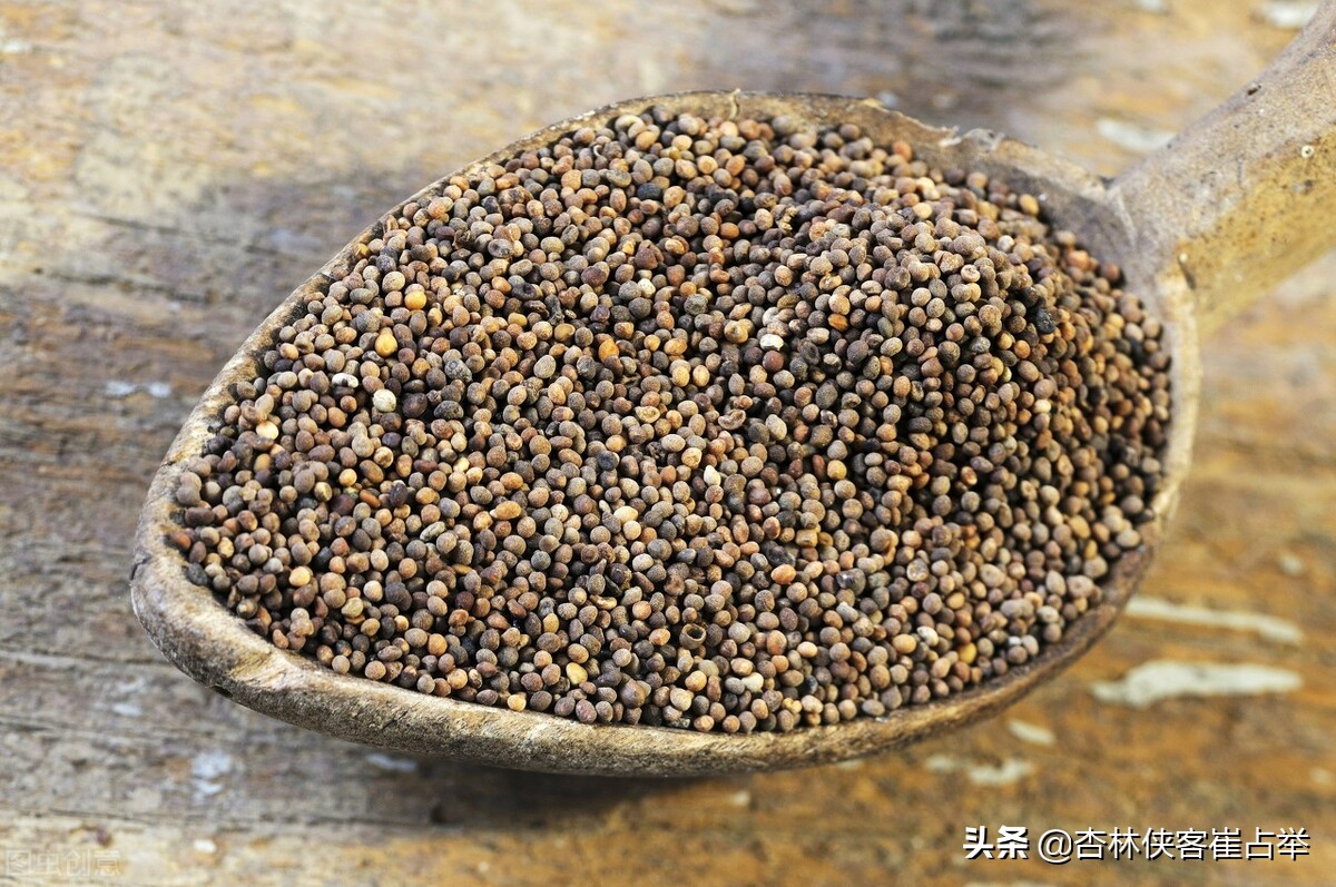 最好补肾壮腰健脾中药,四味中药强腰护肾