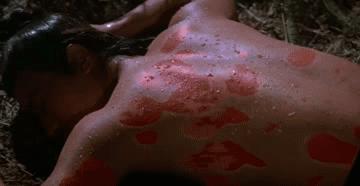 木婉清摘面纱,木婉清面纱被吹落的画面