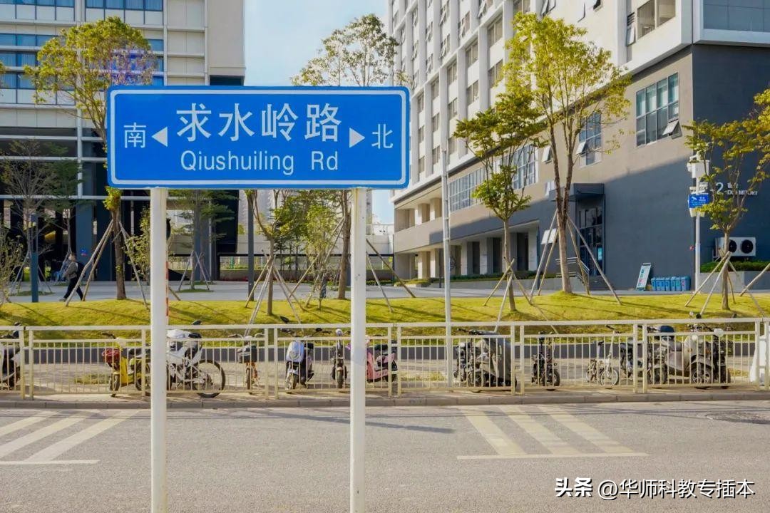 2022深圳技术大学专升本最低分,深圳技术大学2024年专插本