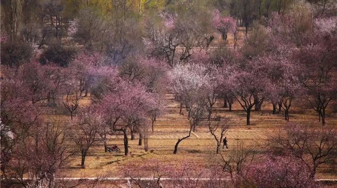 速收！兰州出发，临夏太子山旅游大通道及3-5日大环线自驾游攻略！