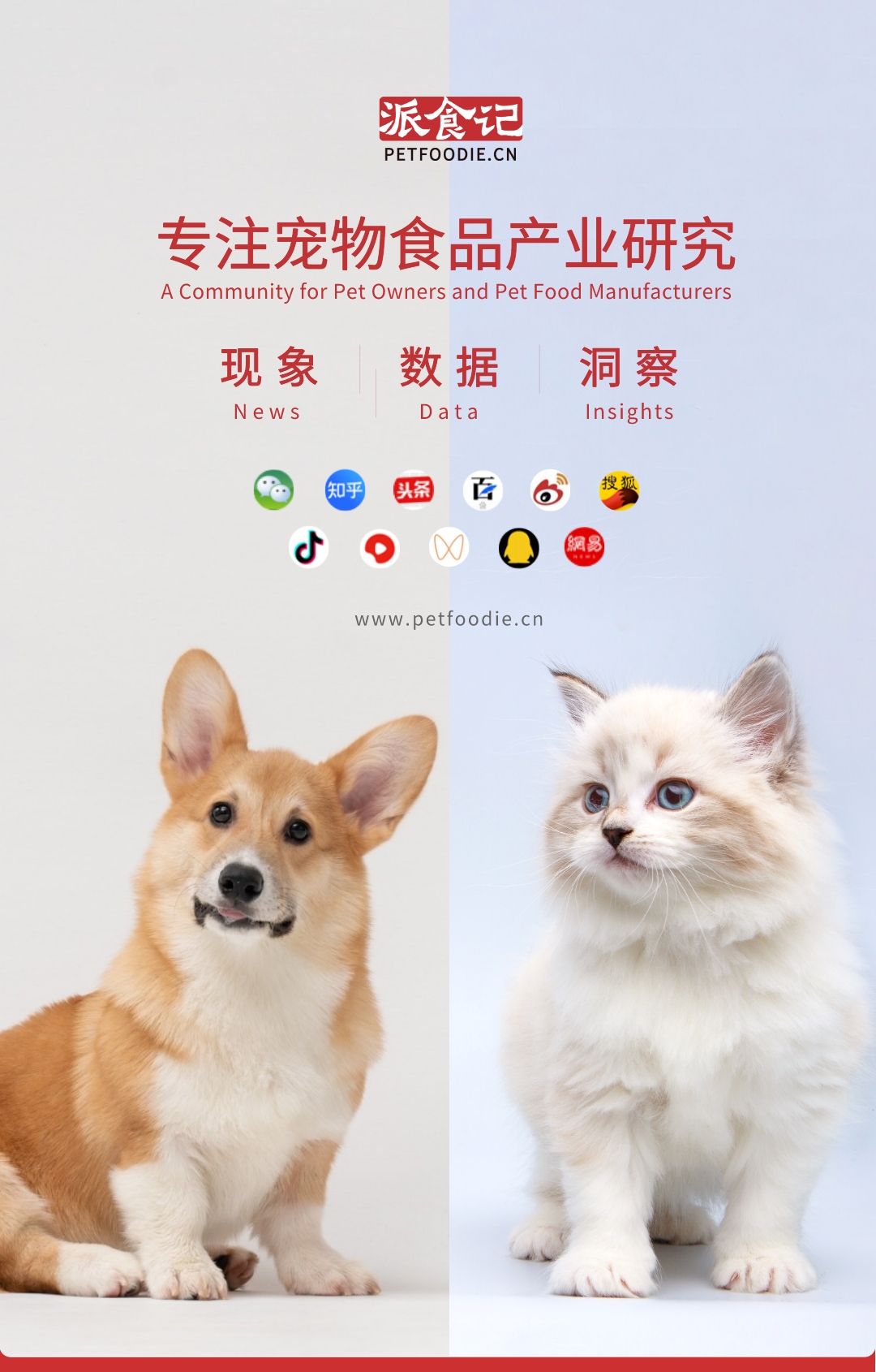 宠物食品行业销售策略,宠物食品营销渠道分析