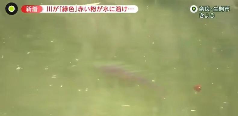 日本河水一夜突变荧光绿！政府警告：千万不要碰，是*污染核**反噬？
