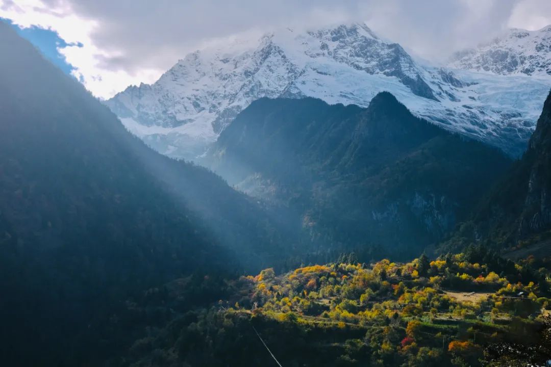 云南西双版纳跨省游最新通知,云南跨省游最新通知