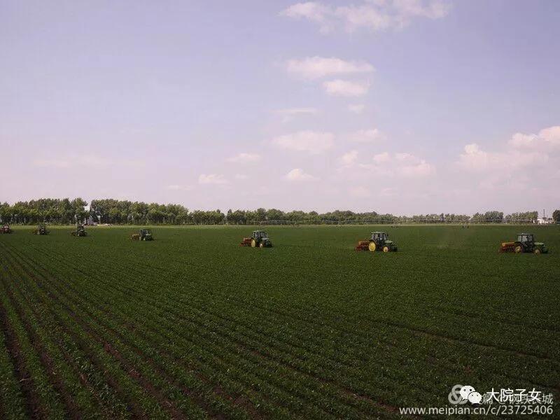 周铁城：父亲的兵团岁月（三）