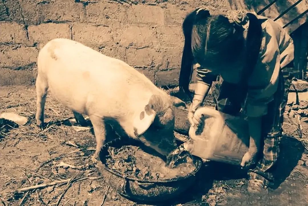 一个在苦水里泡大的女孩