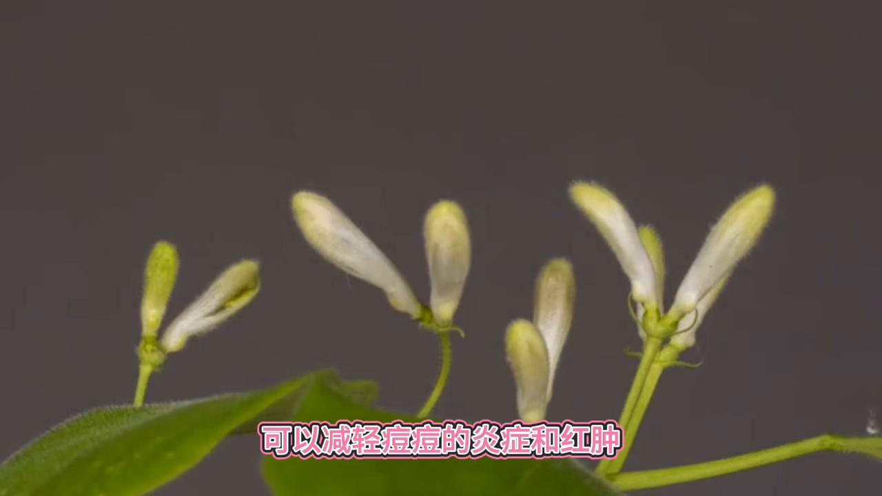 如何让脸部皮肤变好?#让我们一起变美