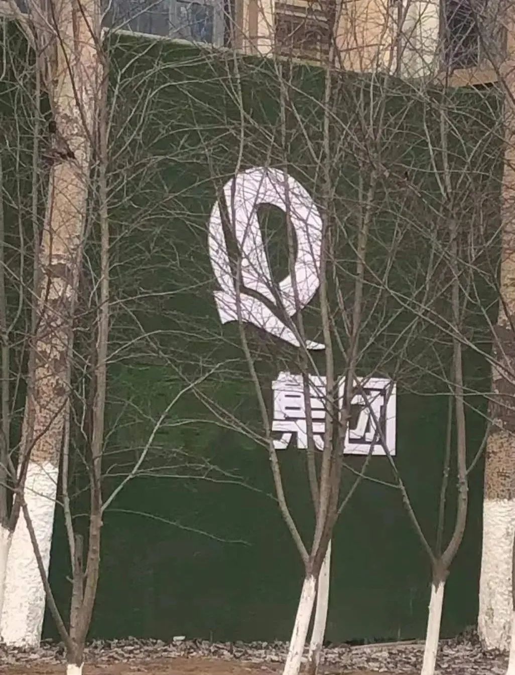 浑南恒大被摘牌是什么意思,沈阳浑南恒大被收回的地块