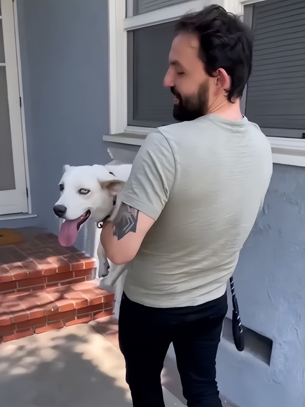 铲屎官养仓鼠捡到了一只狗,铲屎官捡回一只流浪猫