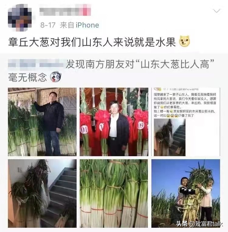 他种的大葱，比姚明高一头