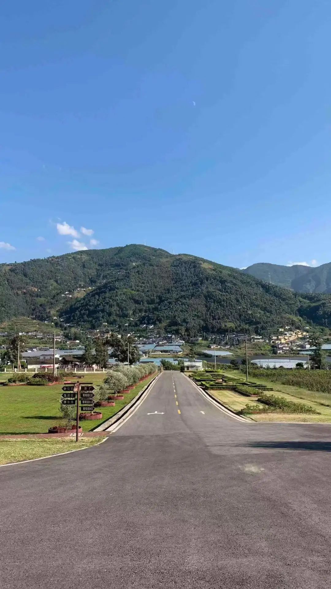 外地朋友来四川吃美食,外地朋友来四川吃苍蝇馆子