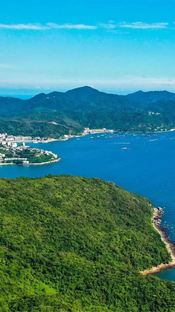 飞阅深圳龙岗篇,飞阅深圳