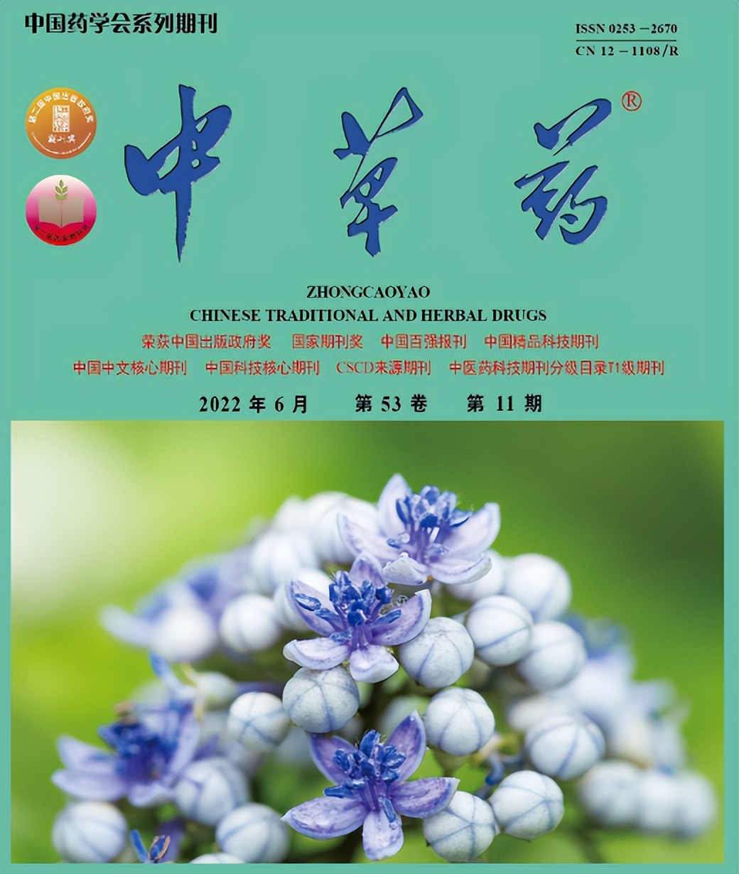 疏风解毒胶囊治疗感冒效果怎么样,疏风解毒胶囊治疗支气管炎