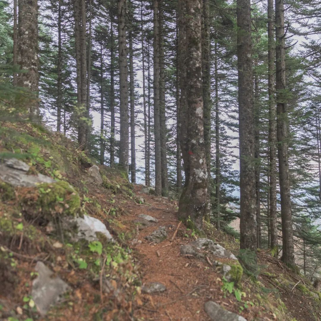 太白山是陕西最高点吗,秦岭最高峰太白山