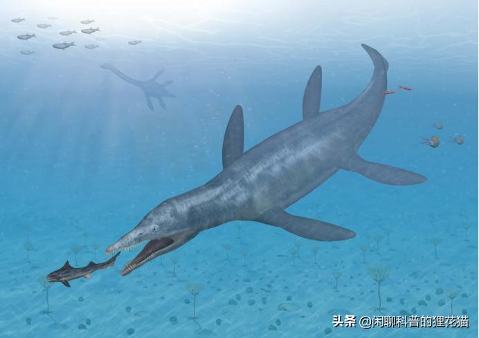 史前巨兽十大海洋霸主战斗力排名,史前最危险的十大海洋巨兽