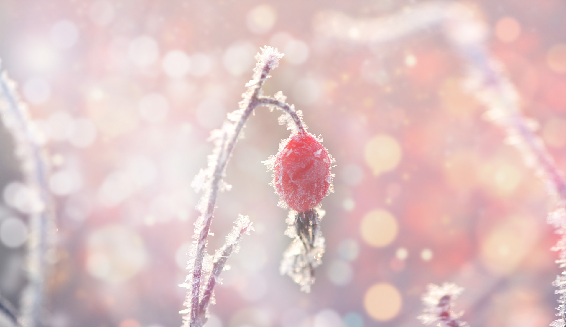 女人想你了会用这3种暗示很准,女人想你了会用三个行为来暗示你