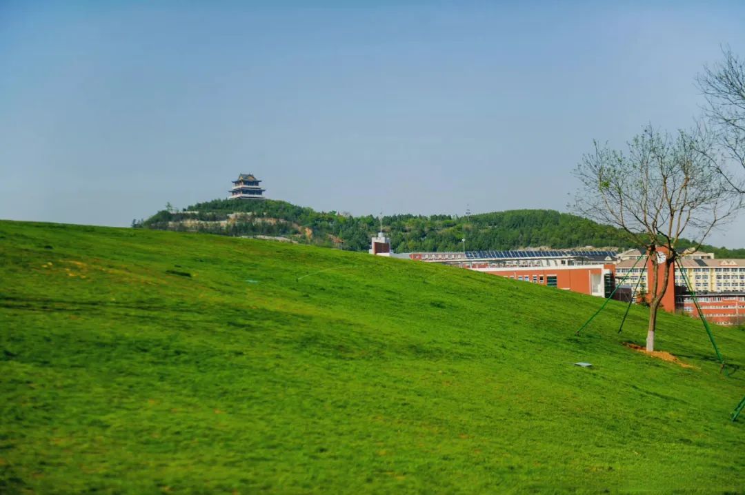 济南适合自由行的地方,去济南必去的三个地方