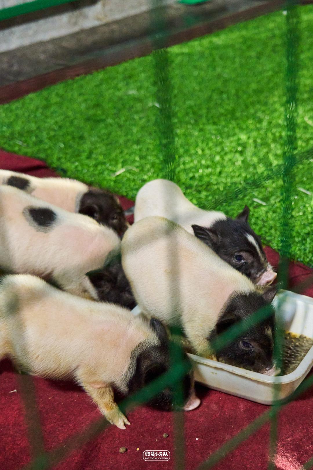 上海夜市全攻略,上海夜市汇总