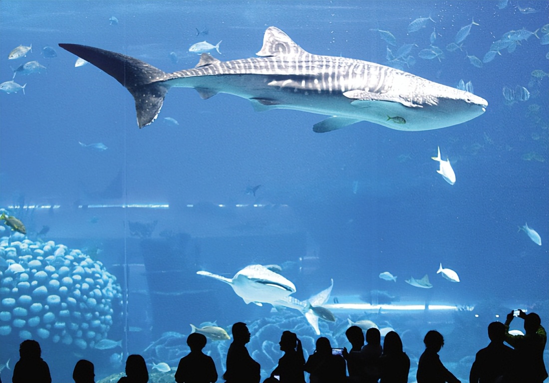 暑假带孩子去哪个城市玩比较好,暑假哪个城市适合带5岁孩子去玩