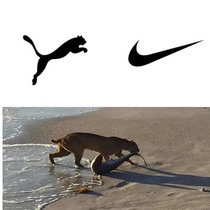 精工所有手表,精工电视手表t001