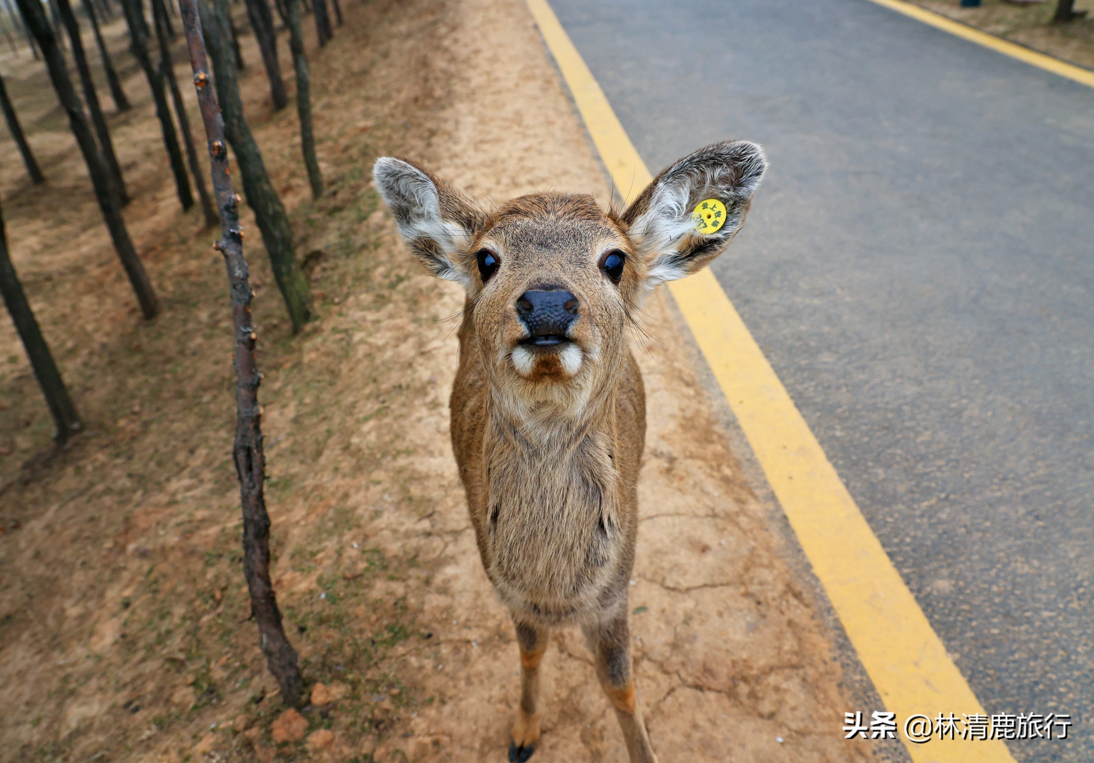三日游推荐河南景区有哪些,河南旅游景点推荐2-3天云台山
