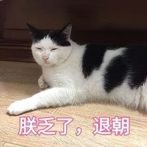 世界杯英格兰vs伊朗5.1,世界杯英格兰vs伊朗比赛全场