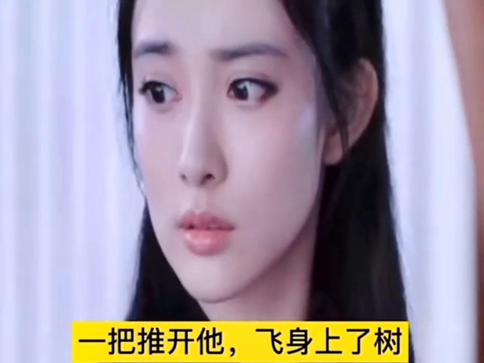 陈情令番外篇完整免费,陈情令番外篇仙督夫人