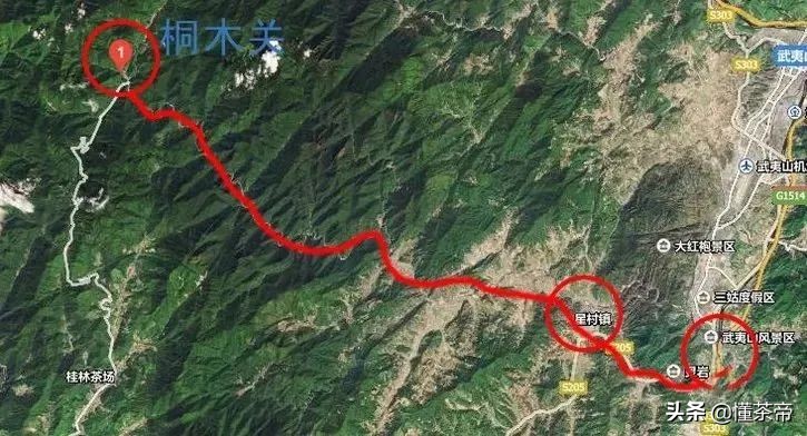 中国五大红茶哪种最好喝,四大红茶哪种比较好喝一点