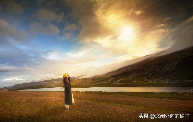 心心相印两情相悦打一生肖,两情相悦应长久的生肖