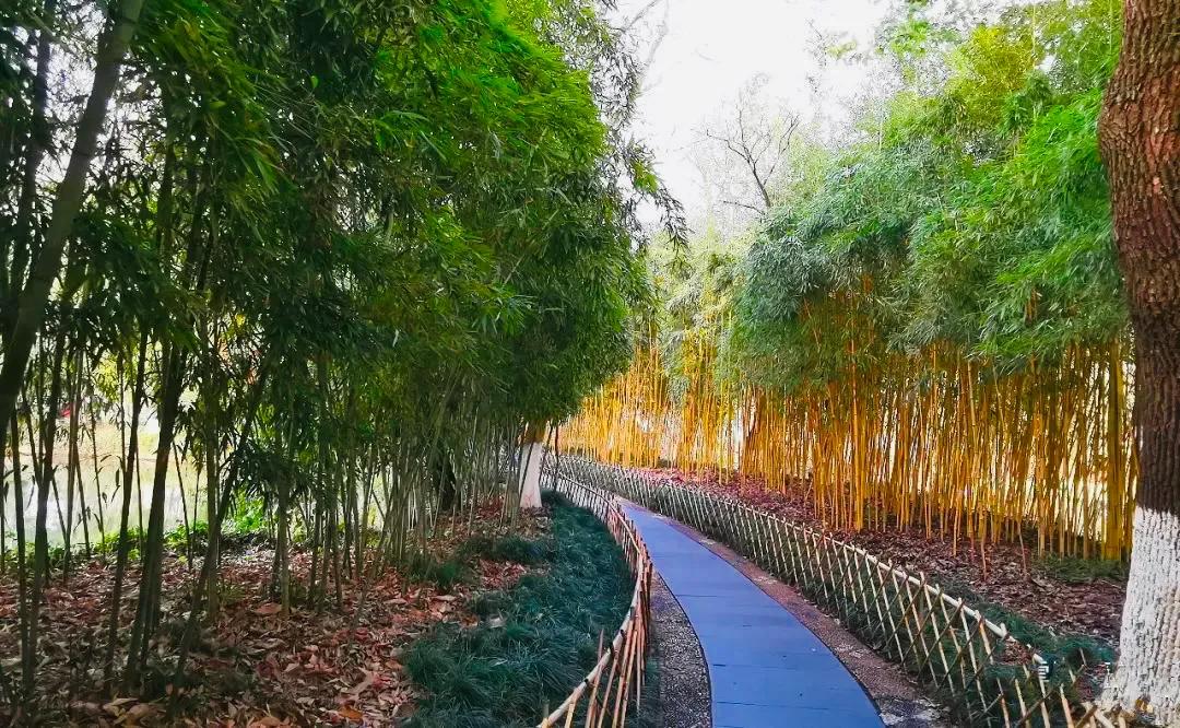 杭州西湖照片,杭州西湖旅游攻略