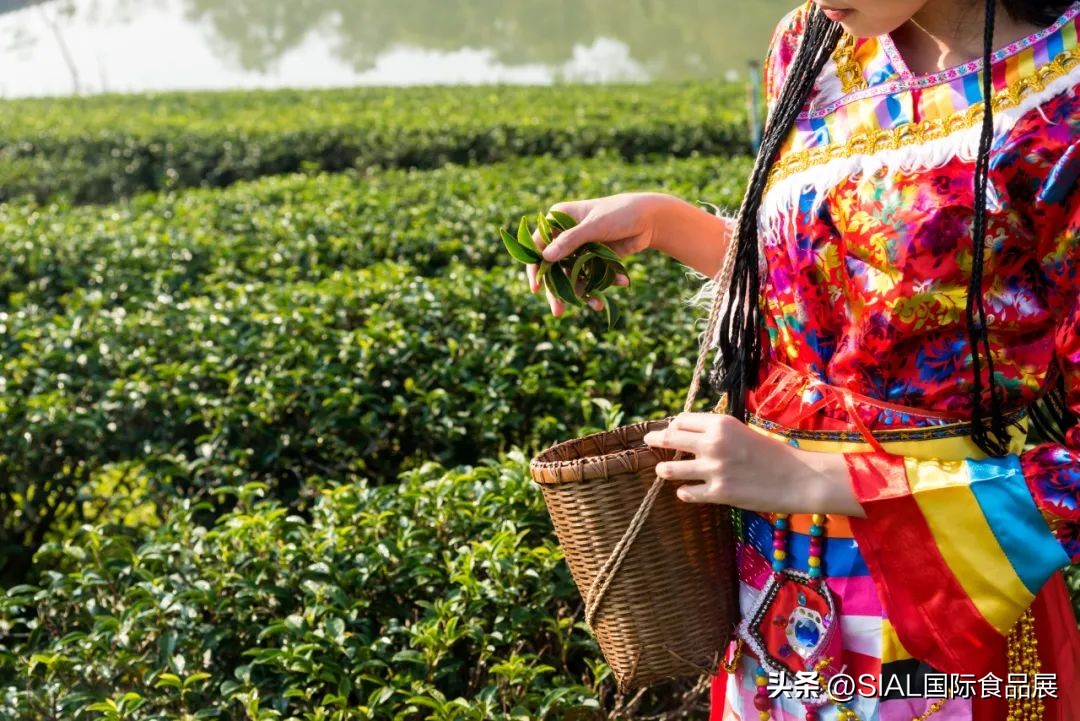 未来几年，茶饮赛道将出现哪些大爆款？|SIAL西雅展