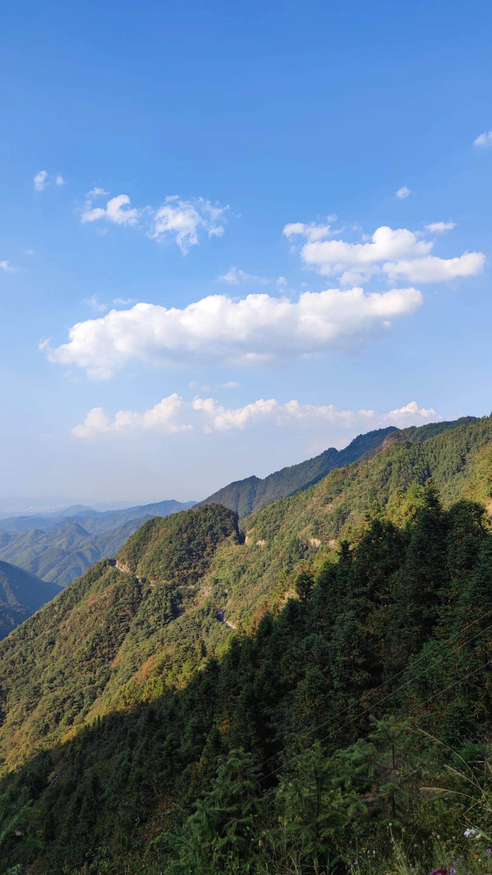 高考状元休宁,休宁十九位状元的名字