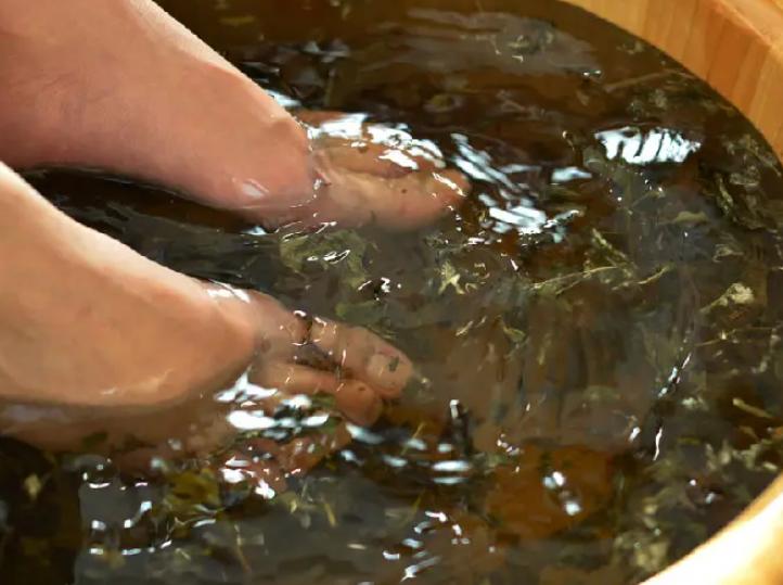 睡前坚持用艾叶泡脚的好处,睡前用艾叶泡脚坚持一个月有奇效