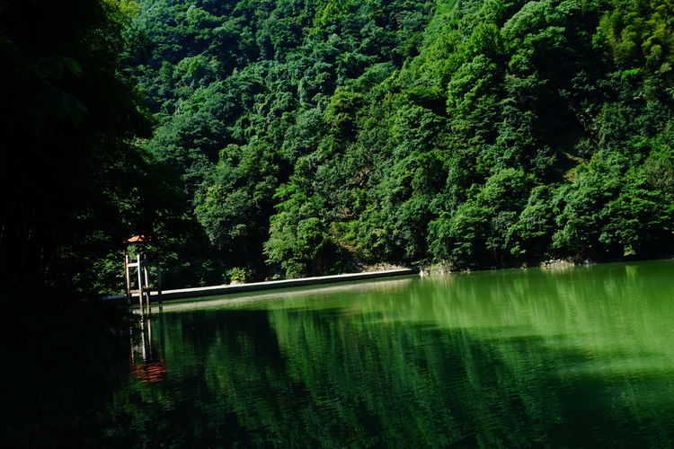 浙西天路华浪线,浙西天路的视频