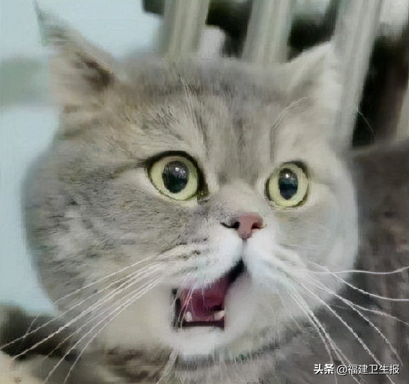 女生打哈欠导致下巴脱臼,一女子打哈欠下巴脱臼