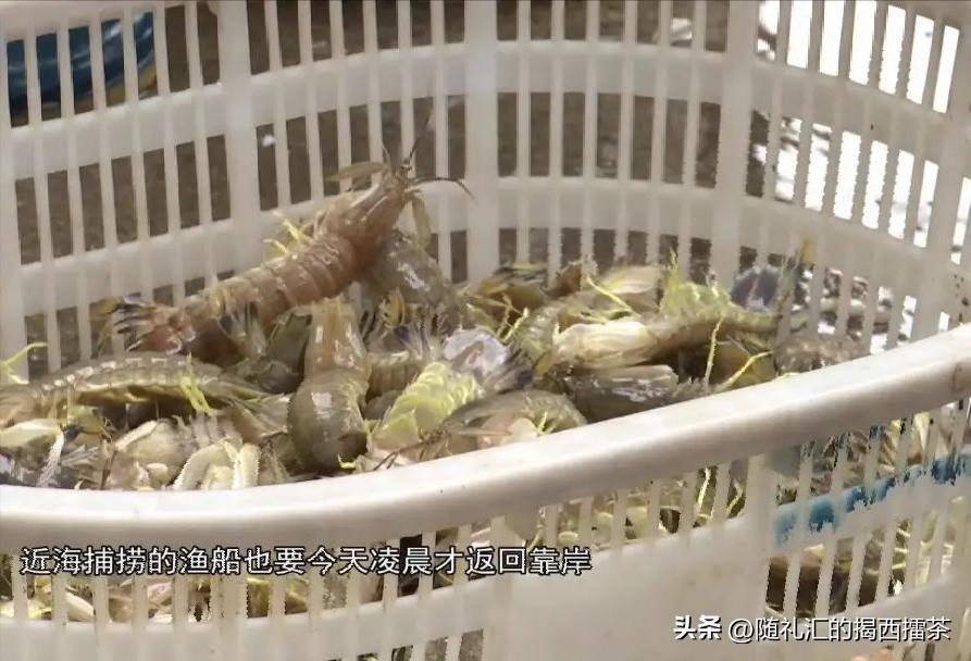 生猛海鲜即将回归你准备好了吗,一大波生猛海鲜即将来袭