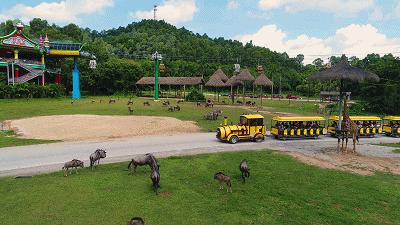 长隆动物园酒店两天一晚旅游攻略,长隆2天1夜熊猫酒店旅游攻略