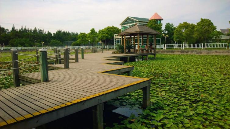 上海市内自驾游一小时哪里好,上海自驾游攻略线路推荐